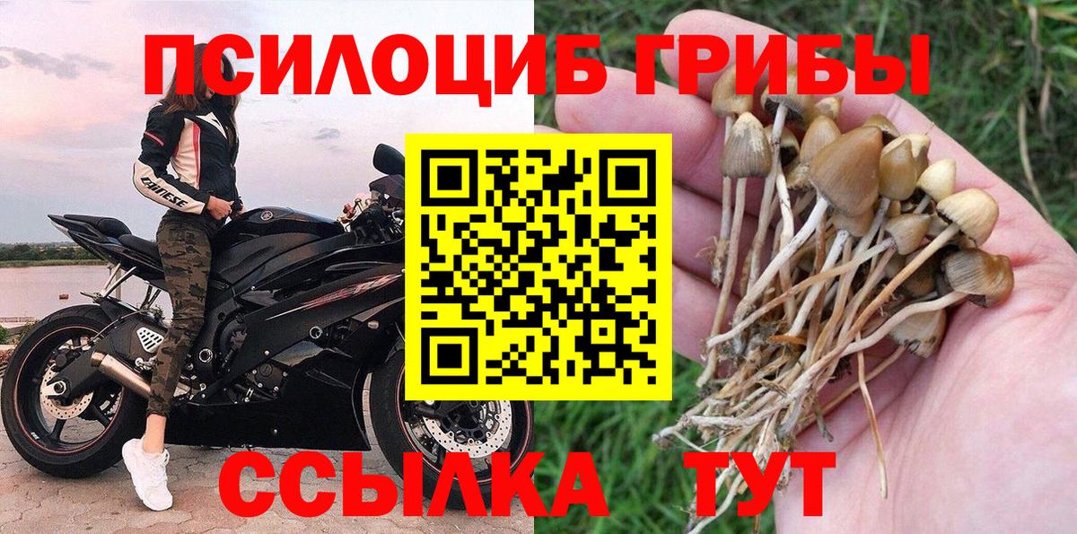 Новотроицк  Псилоцибиновые грибы GOLDEN TEACHER  Вход с VPN 