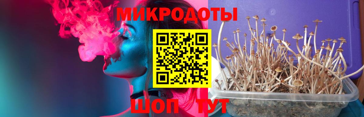Псилоцибиновые грибы Magic Shrooms Новотроицк